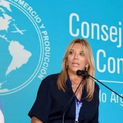 Bulgheroni presidenta de la OEA