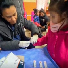 Chagas: Verifican transmisión vectorial 