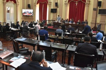 Senadores preocupados por la provisión de gas