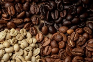 Buscan impulsar la producción de café en Salta