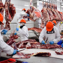 Crecen las exportaciones de carnes argentinas