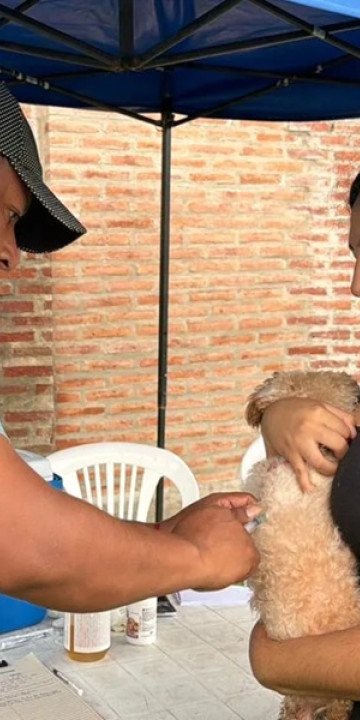 Vacunación Antirrábica: Desde el lunes en la zona sur