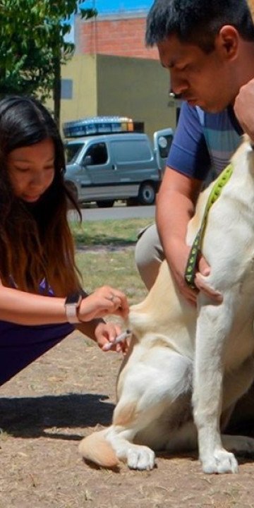Vacunación antirrábica: 18 y 19 de febrero en Villa Lavalle