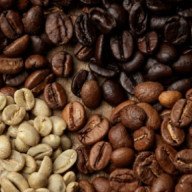Buscan impulsar la producción de café en Salta