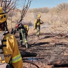 Controlaron focos de incendios de pastizales en la zona sur de la Ciudad