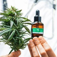 Salta debatirá sobre Cannabis medicinal