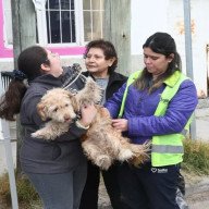 Vacunación Antirrábica en la zona este de la ciudad