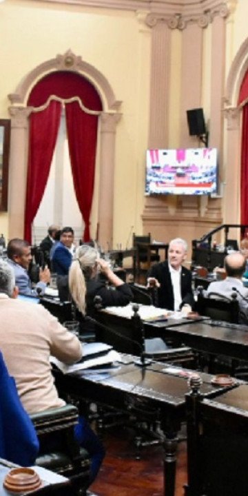 El Senado aprobó cambios en la Ley Orgánica de Partidos Políticos