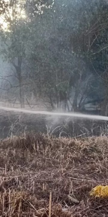 Recomendaciones para prevenir incendios forestales