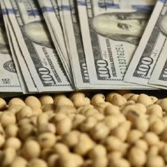 Dólares agro: la liquidación cayó 1,2%