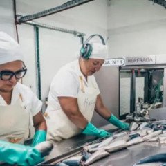 Se fortalece la producción de la pesca
