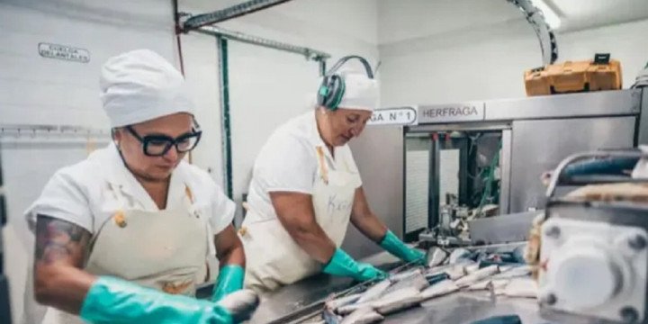 La industria argentina sigue en caída