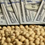 Dólares agro: la liquidación cayó 1,2%