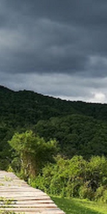 San Lorenzo: robo en la Reserva Municipal Las Yungas