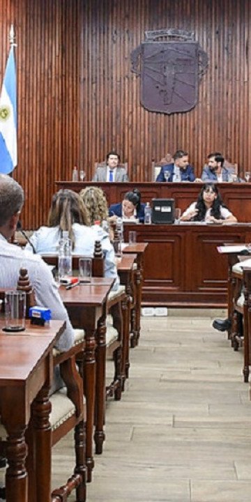 Concé los proyectos que tratan los concejales capitalinos