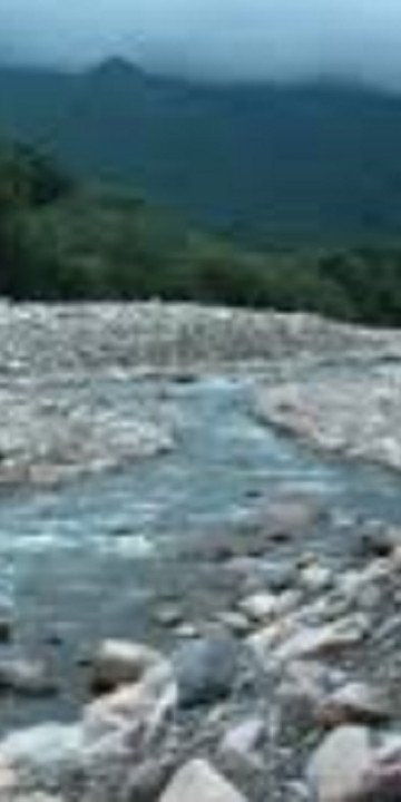 Vecinos de Lesser reclaman por el caos vehicular