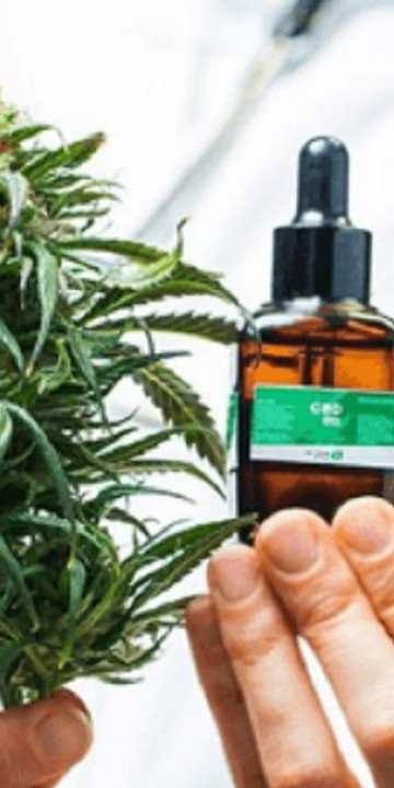 Salta debatirá sobre Cannabis medicinal