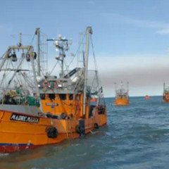 Gremios navales en estado de alerta