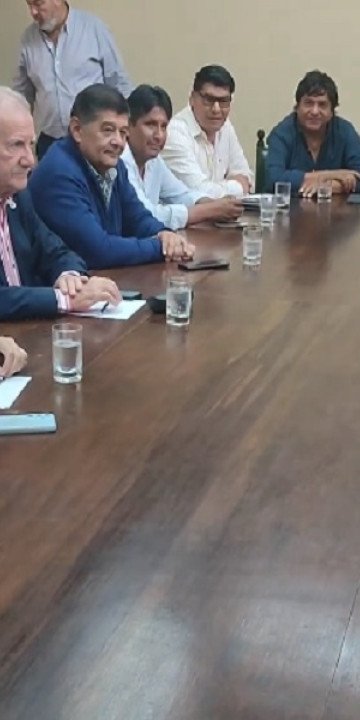 Senadores recibieron al Presidente del IPS