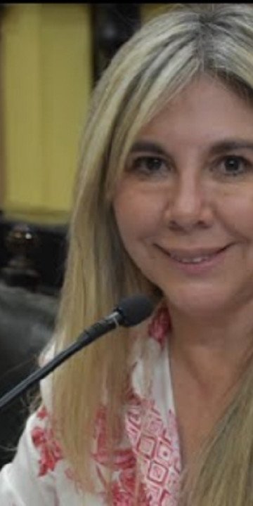 Regulamiento de colegios profesionales por ley