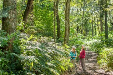 Cayó el turismo extranjero en San Lorenzo