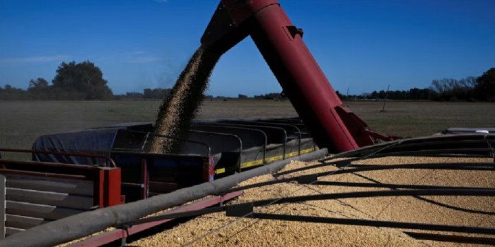 Agro: Gobierno elimina trámites duplicados