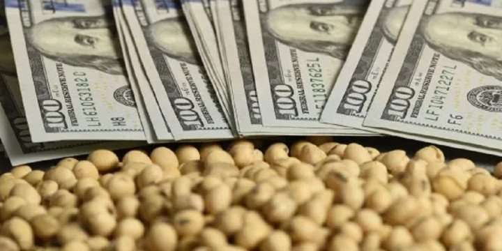 Agro pierde peso en las exportaciones