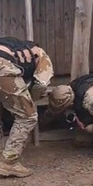 Maltrato Animal: Rescatan 10 perros en Bº Mosconi