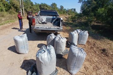Incautaron 160 kilos de hojas de coca en Orán 