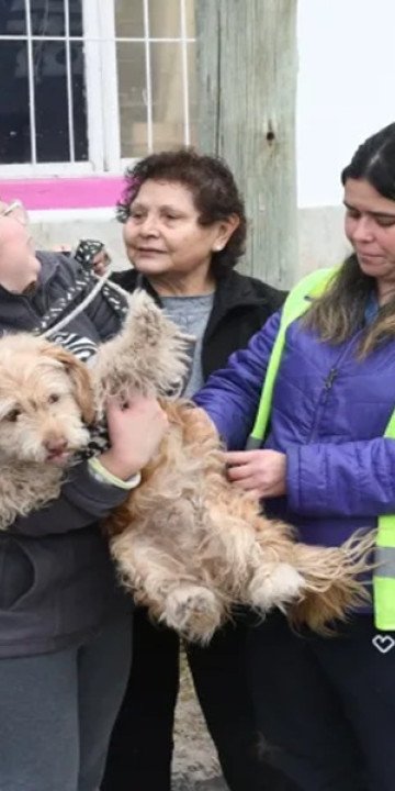Vacunación Antirrábica en la zona este de la ciudad