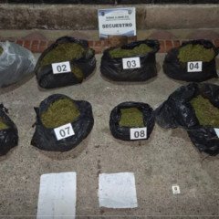 Incautaron más de 46 mil dosis de marihuana en Chicoana