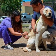 Vacunación antirrábica: 18 y 19 de febrero en Villa Lavalle