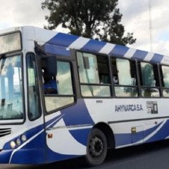 Por vacaciones de invierno no regirá el boleto gratuito 