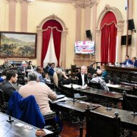 El Senado aprobó cambios en la Ley Orgánica de Partidos Políticos