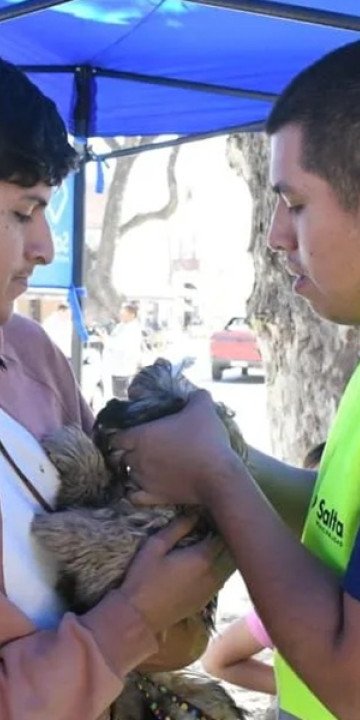 Vacunación antirrábica en la zona sur de la Capital