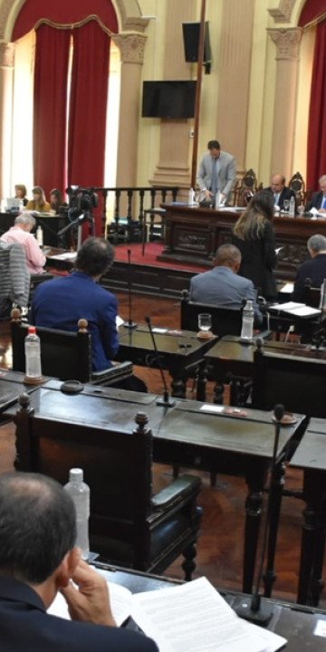 Senadores aprobaron la Carta Orgánica de Gral. Mosconi