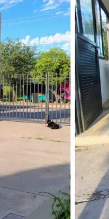 La UNSa desmintió “abandono animal”