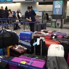 Fin de semana largo: viajaron más turistas