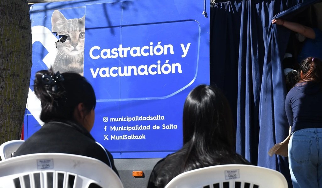 Cronograma de Castración de animales en la ciudad