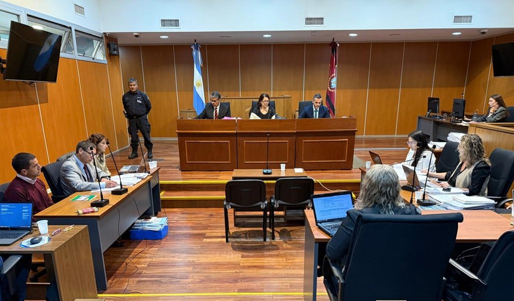 Caso Kvedaras: Declararon profesionales que peritaron al imputado