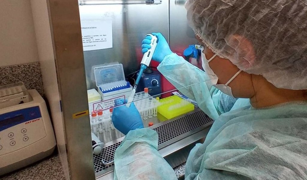 Salta registra 413 casos confirmados de chikungunya