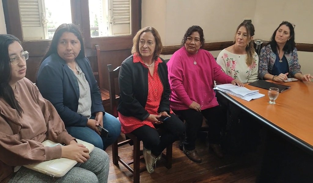 Senadores pedirán reuniones con Legisladores Nacionales por la ley de Discapacidad