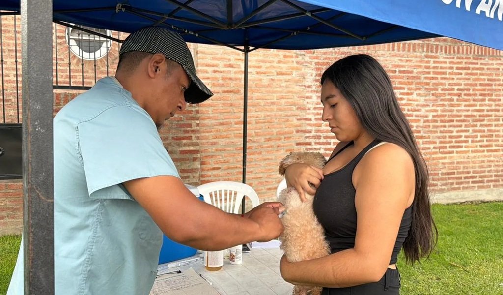 Vacunación antirrábica en diversos barrios de la ciudad