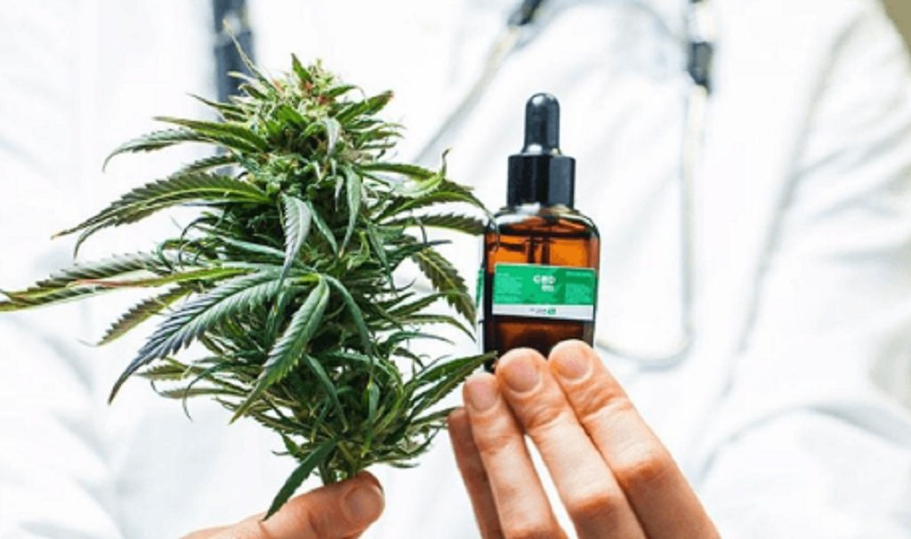 Salta debatirá sobre Cannabis medicinal