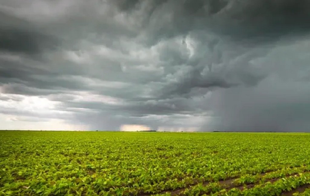 El Niño cómo impactará en la economía