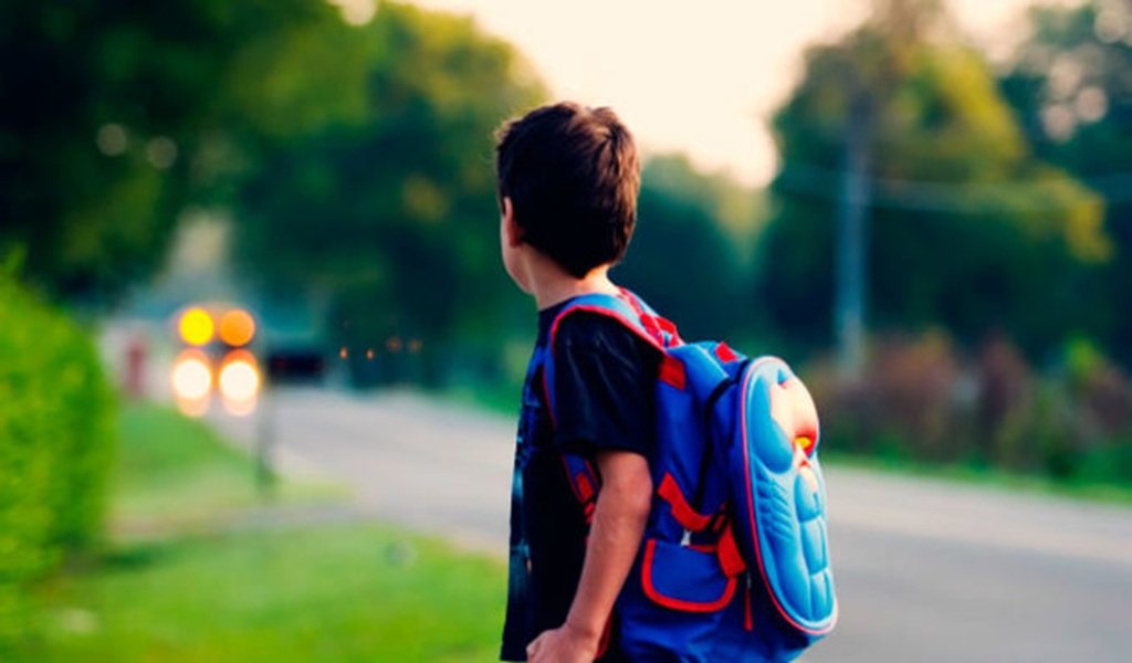 Convocatoria nacional para la adopción de un niño de 12 años