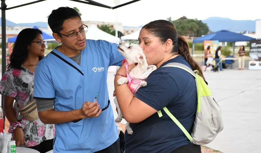 Desde mañana vacunación antirrábica en la zona sudeste