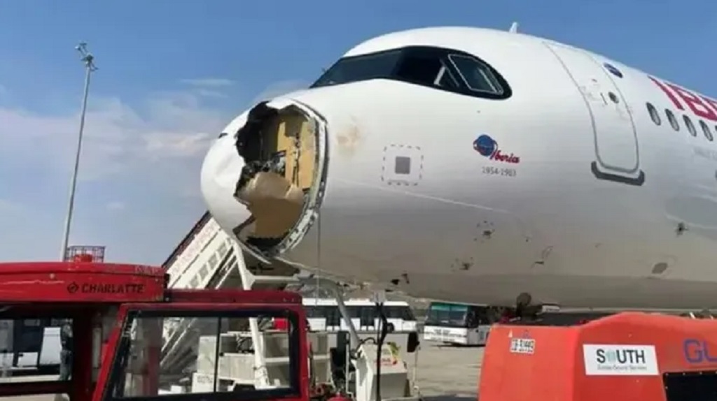 España: un buitre chocó contra un avión de Iberia