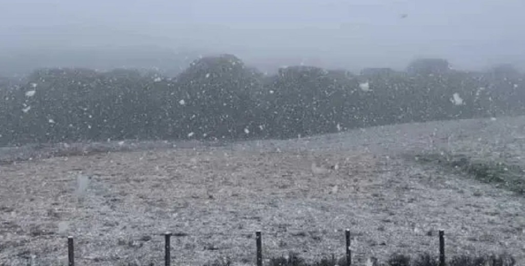 La nieve azotó a ciudades del sur de Brasil