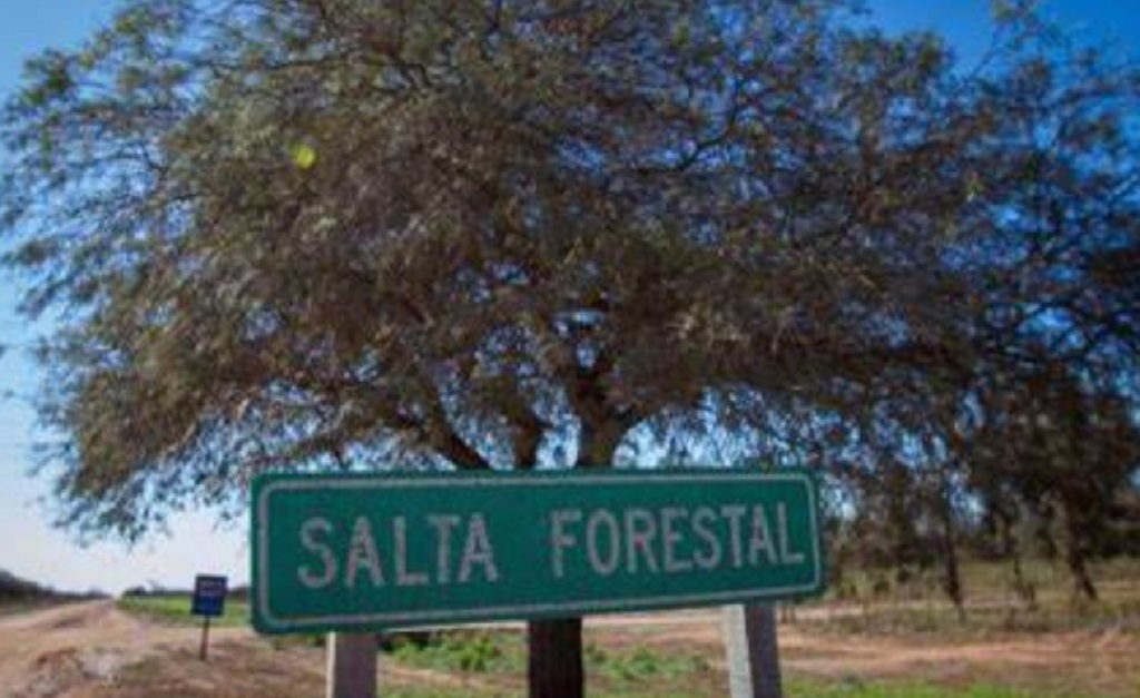 Salta Forestal: Senadores aprobaron la regularización dominial